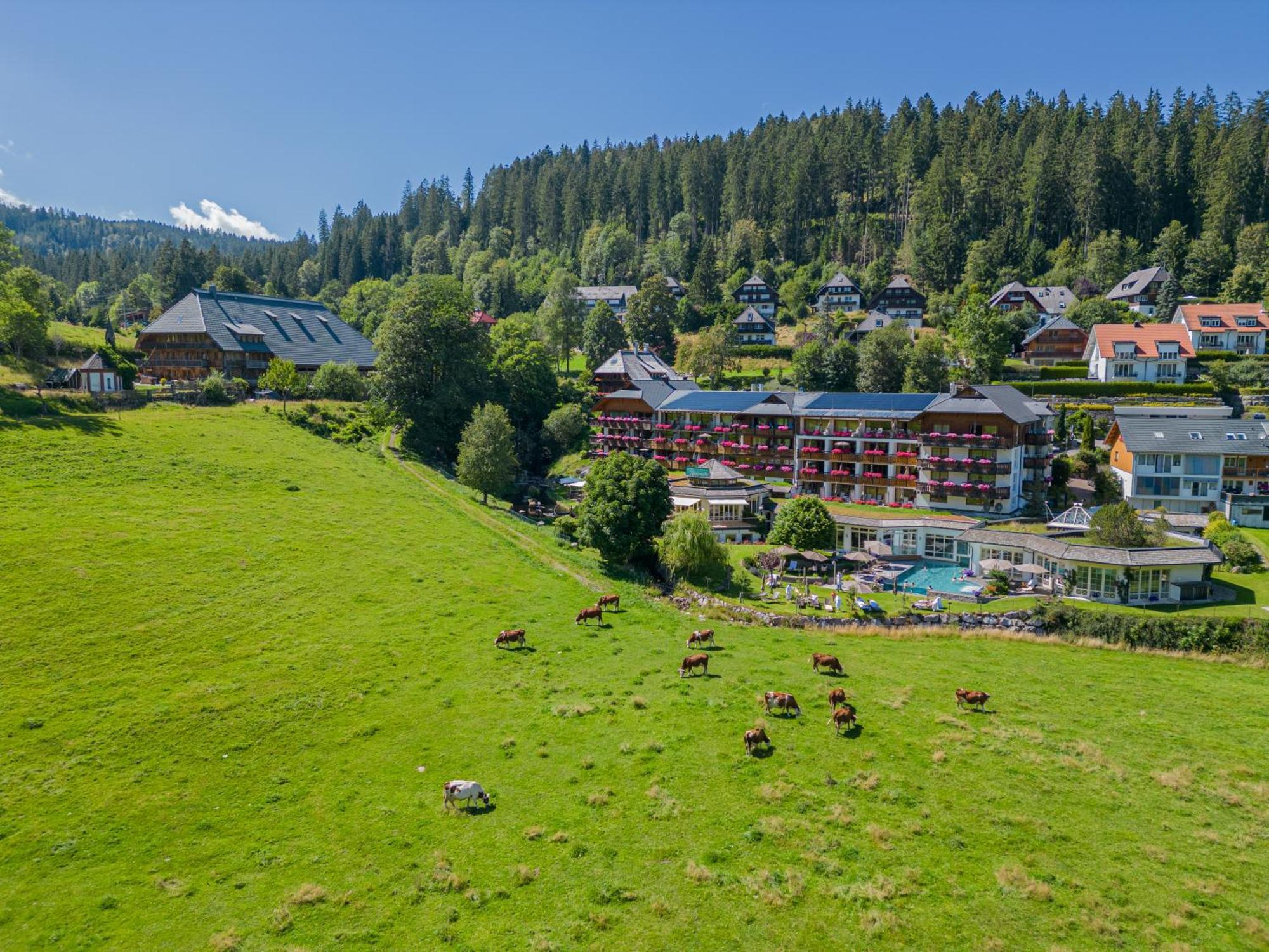 Hotel Kesslermühle Hinterzarten Exterior foto